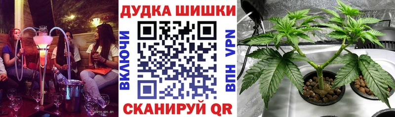 Купить закладку Петровск-Забайкальский МДМА  АМФЕТАМИН  СК  Меф мяу мяу  КОКАИН  Конопля 