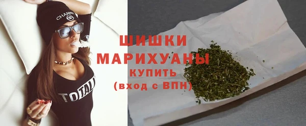 шишки Новокубанск
