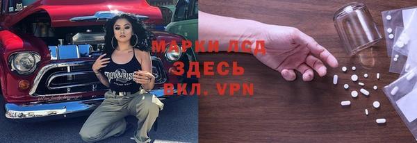 шишки Новокубанск