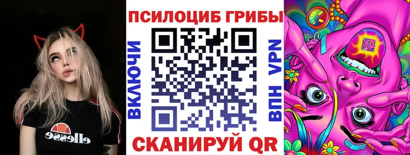 Псилоцибиновые грибы ЛСД магазин продажи Петровск-Забайкальский